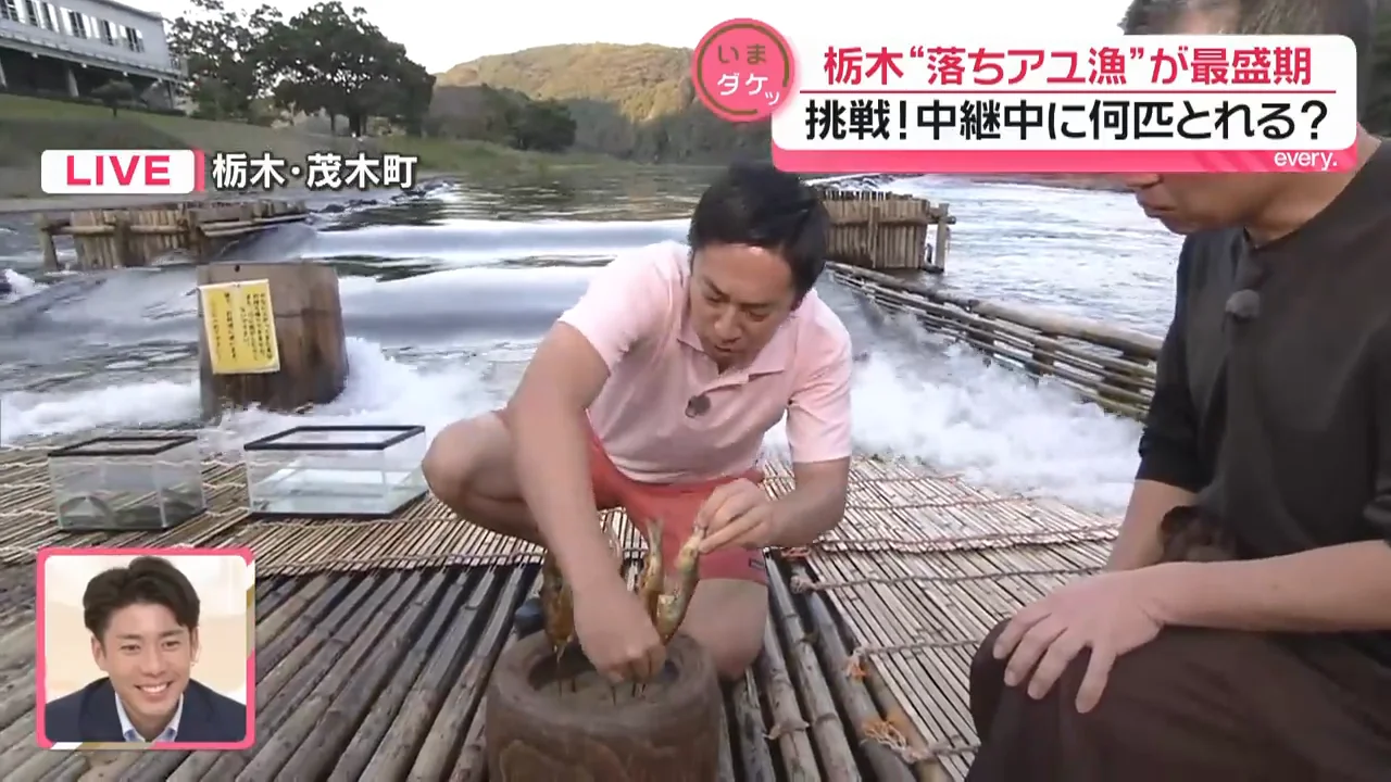 夜にかかるウナギやナマズ、コイ