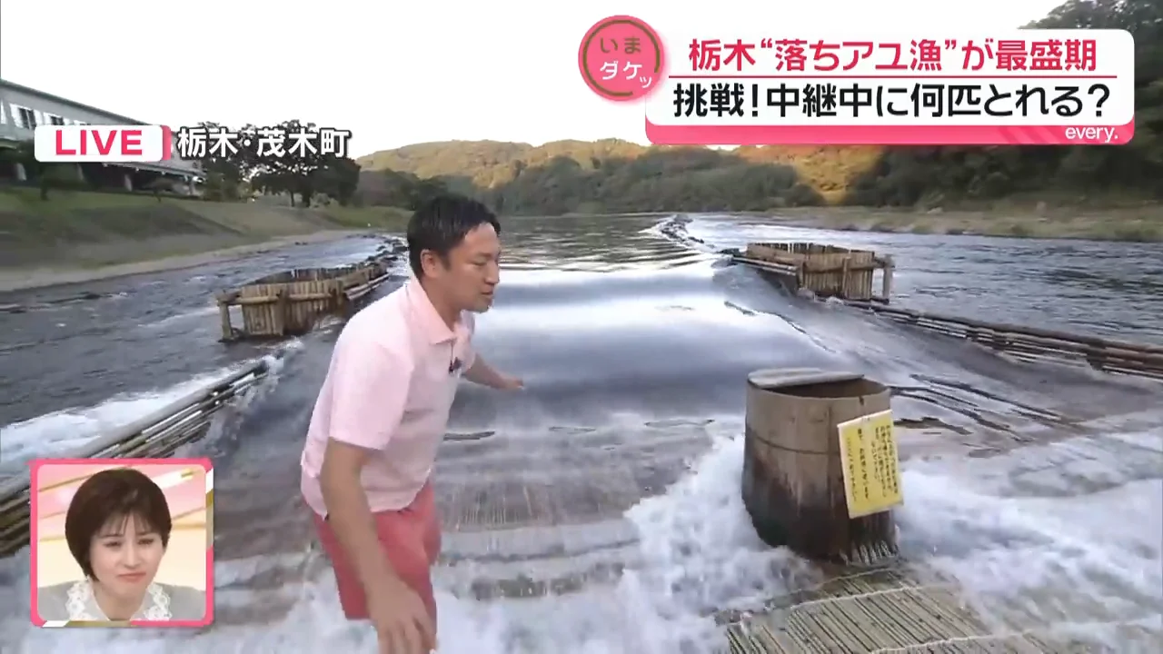 水中カメラで見る「アユの目線」