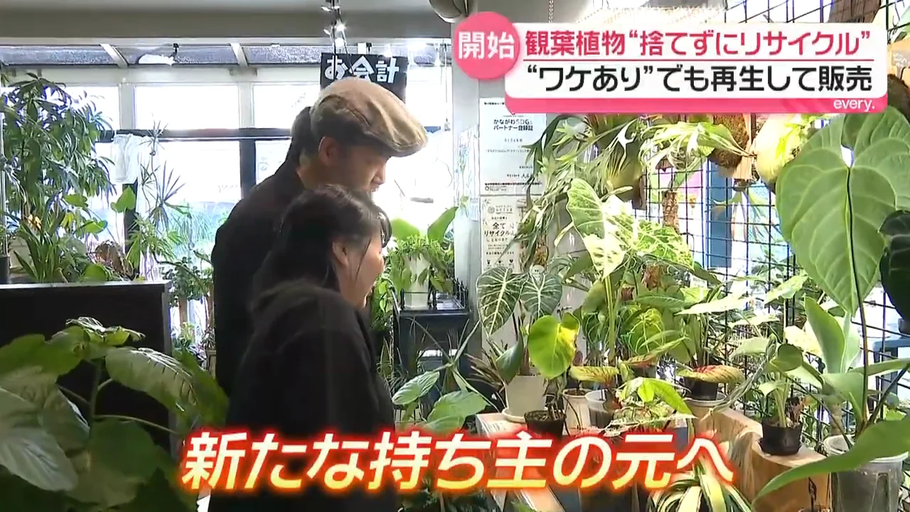 植物ごとの「ストーリー」を次の持ち主へ