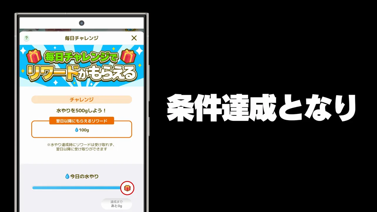 毎日チャレンジ