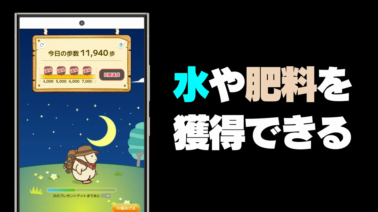 お散歩