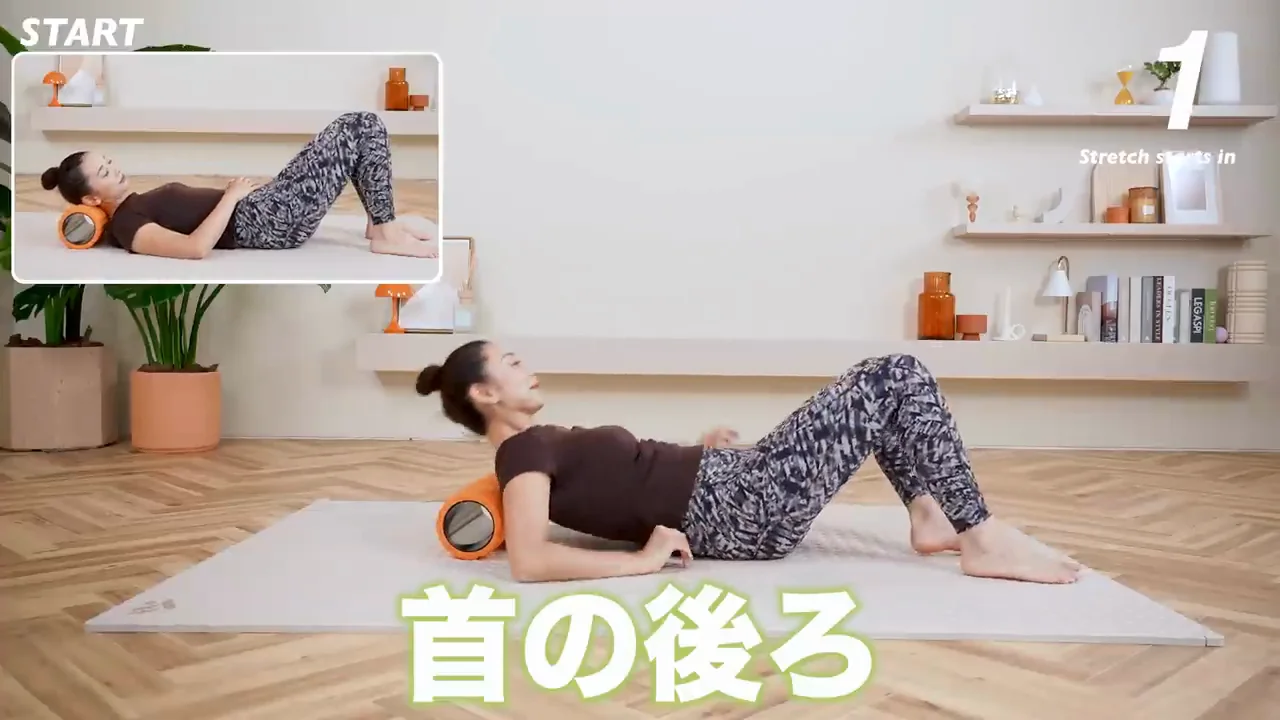 首の後ろと背中の上部
