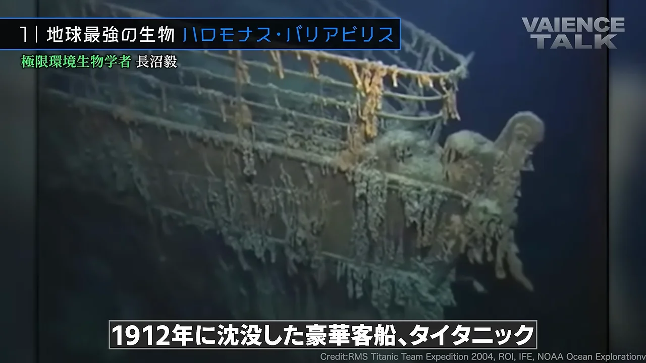 大西洋の海底火山で出会った「地球最強」候補