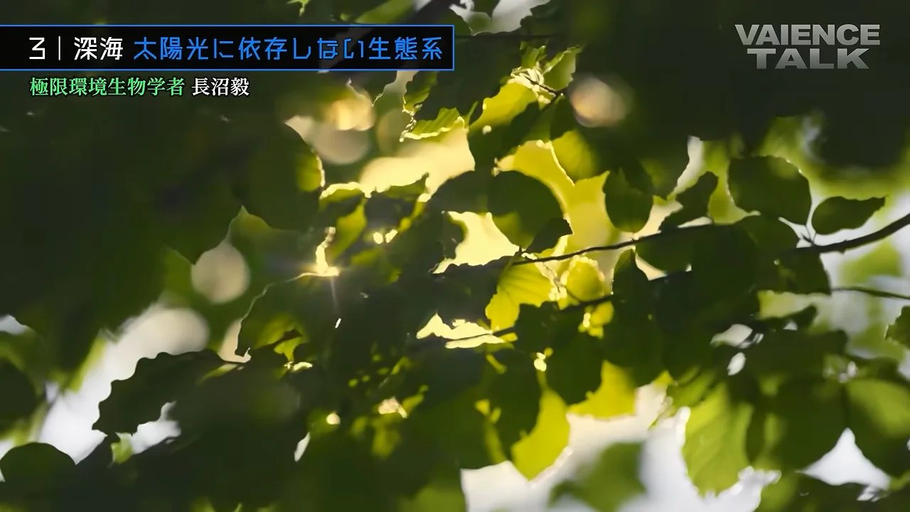 光のない深海の生態系とチューブワーム