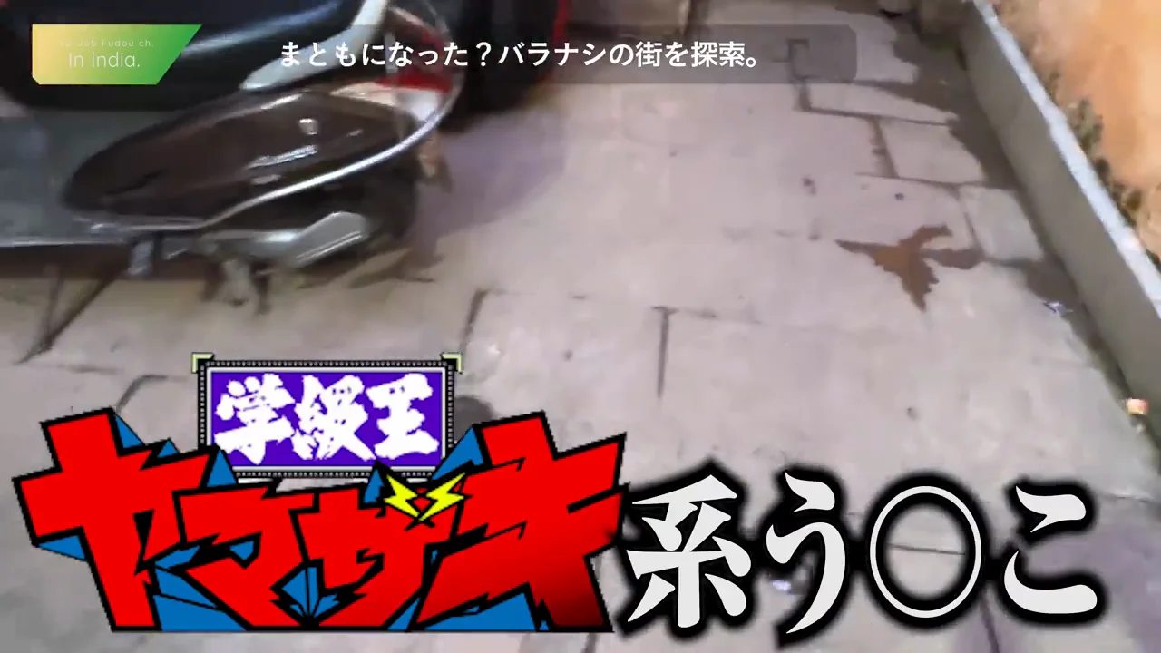 路地の糞と、牛・犬・猿との距離