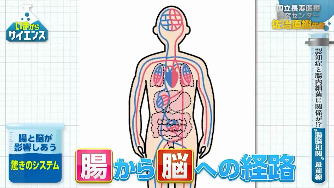 血流に乗る代謝産物