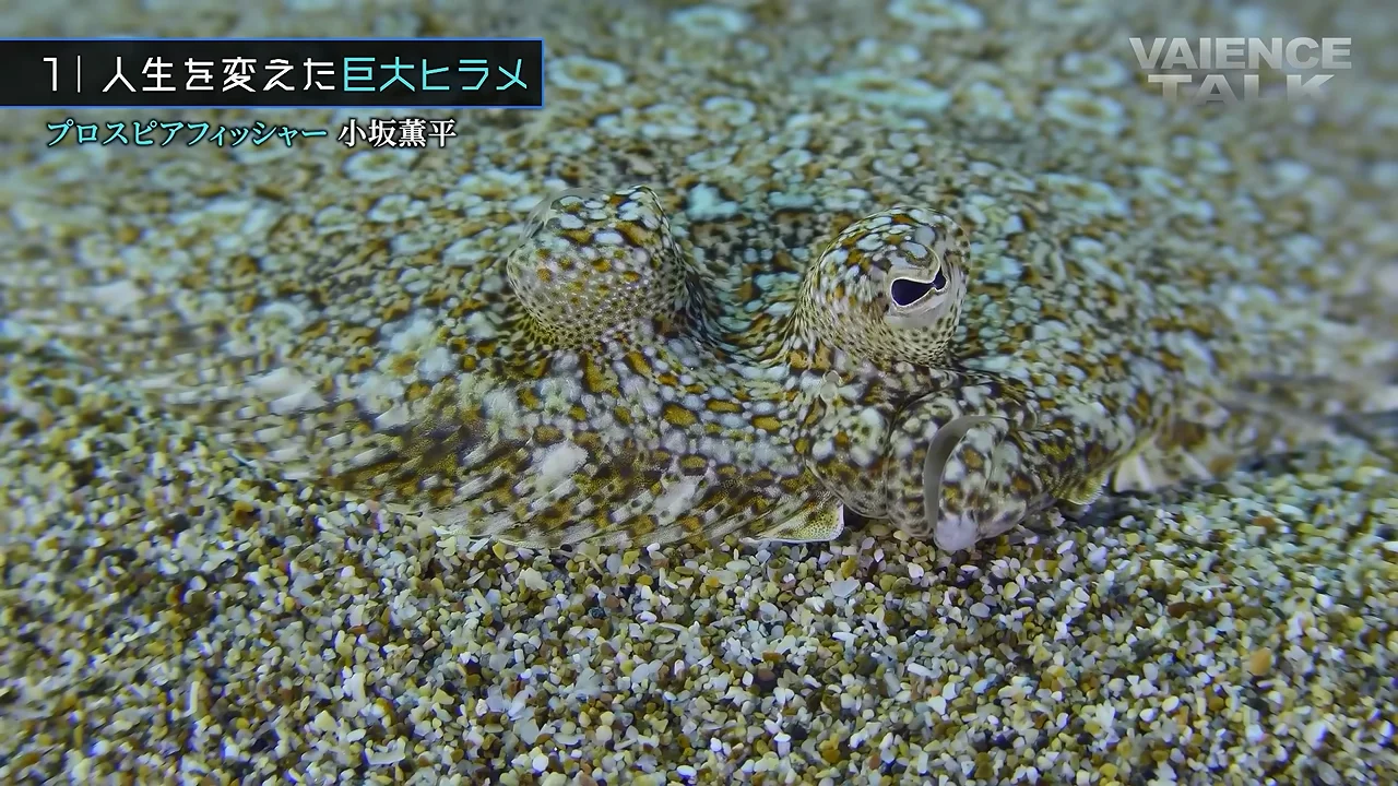 85cmのヒラメで「本気で生きていた」と感じた