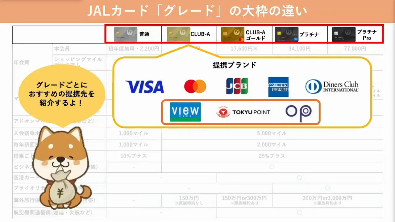 普通カードの提携先:MastercardかJALカードSuica