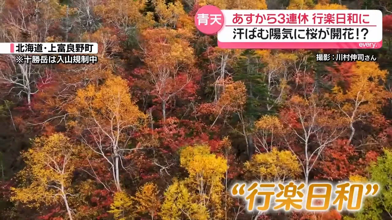 連休は全国的に晴れ、紅葉やコスモスが見頃