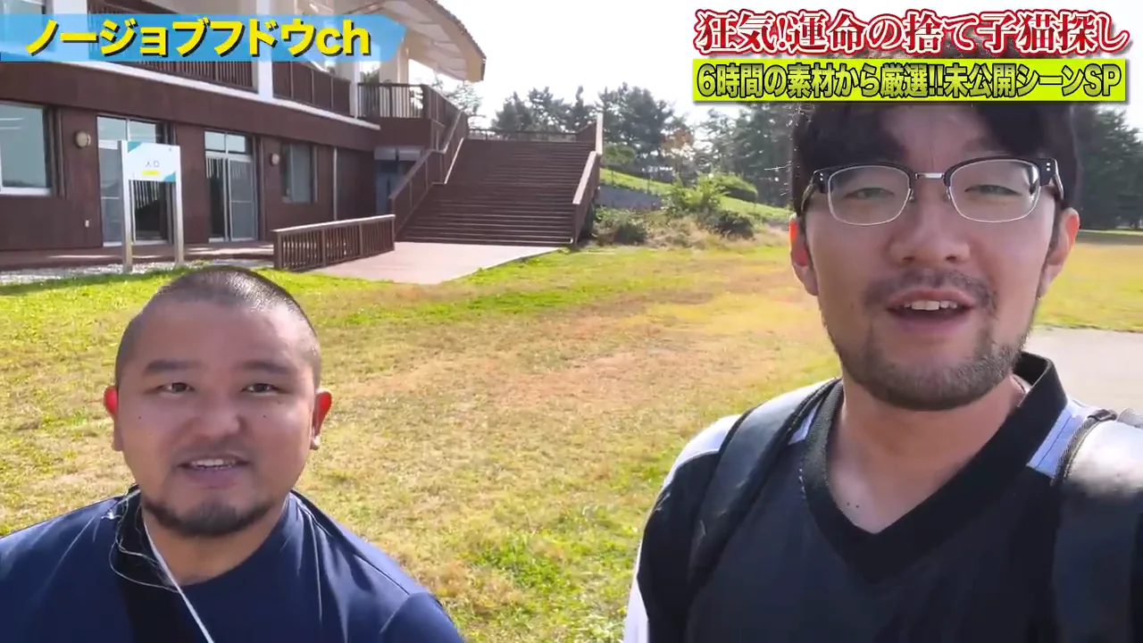 平日の朝に猫と過ごすこと