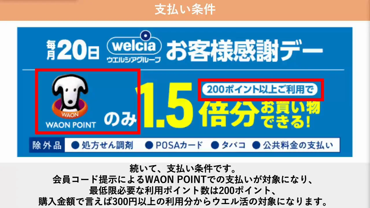 支払い条件と2026年11月からの上限縮小