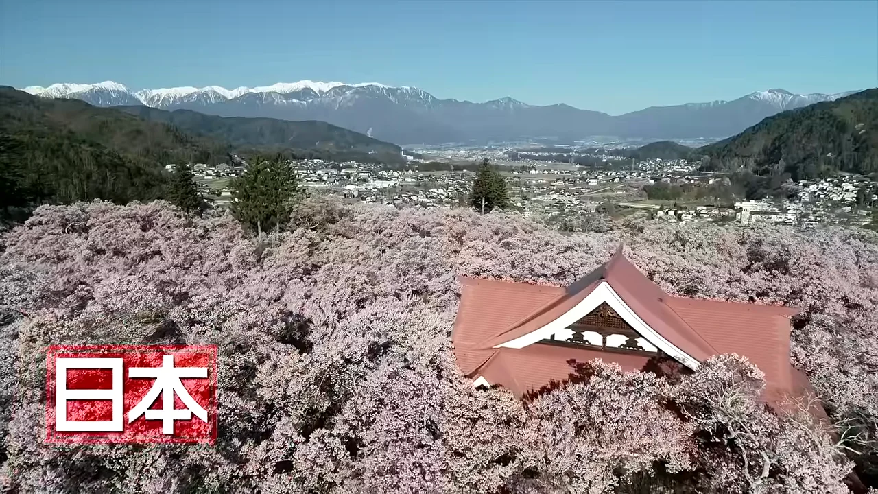 首都直下地震：想定される4つのタイプ