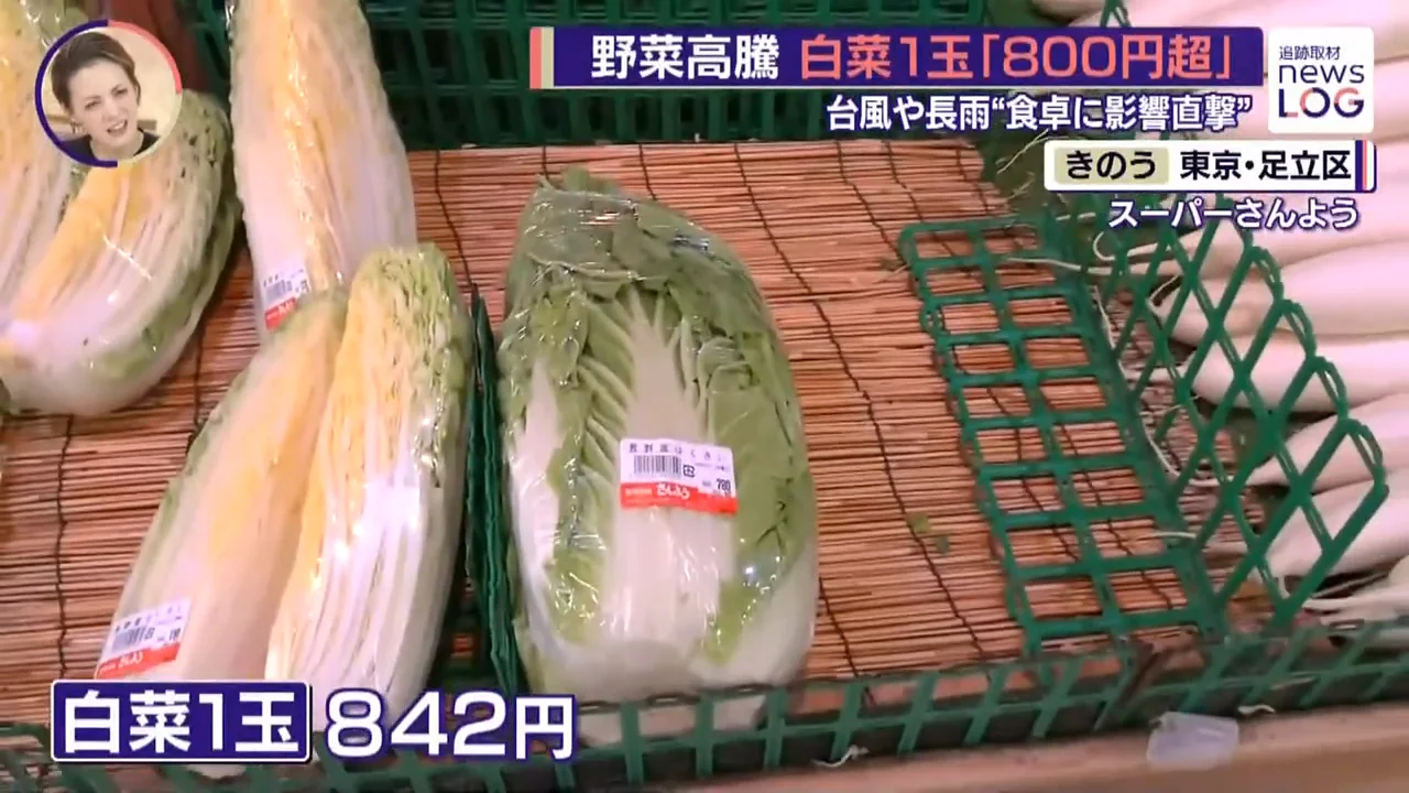 店頭の白菜は去年の2倍ほどに