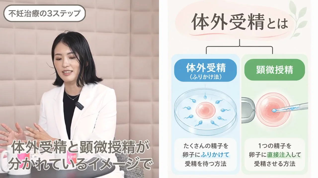 体外受精（ふりかけ法）と顕微授精の違い