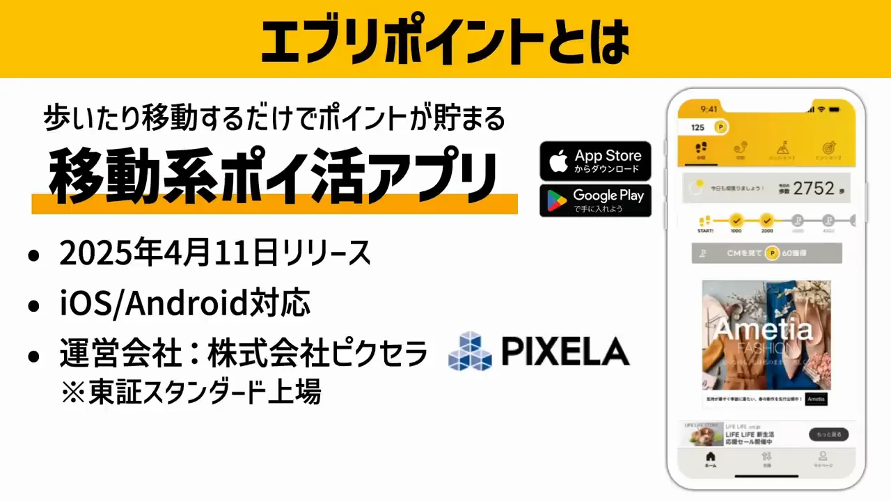 エブリポイントの基本仕様