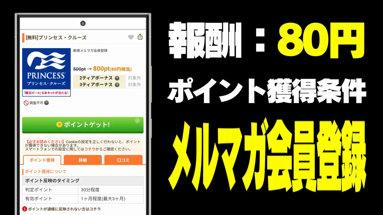 その3：プリンセスクルーズ（報酬80円）