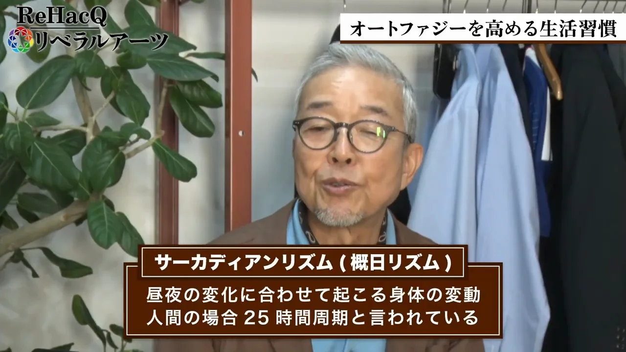 運動、睡眠、脂肪の多い食事