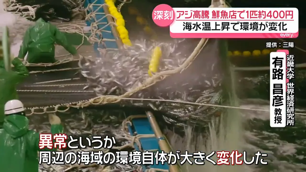 専門家は海水温の高さと捕食者の増加を挙げる