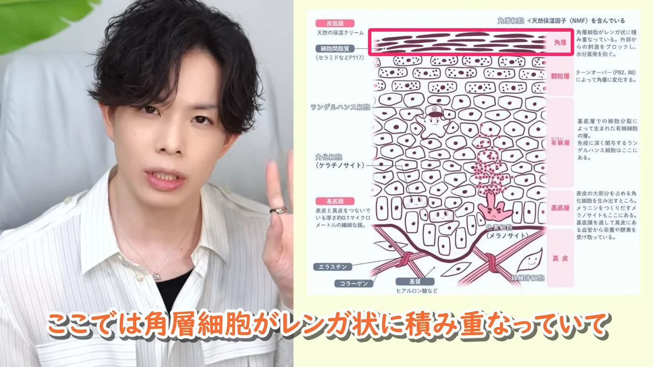 男性が肌の断面図のイラストを示しながら角層の構造について解説している様子。