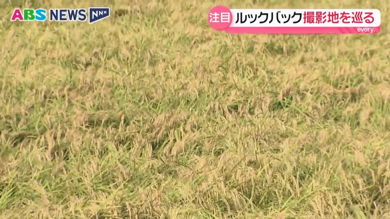 四季の風景が寄り添う13年間