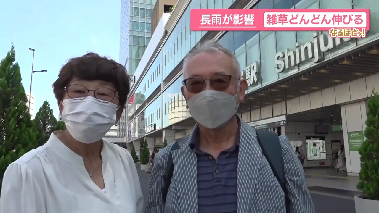 街の人は「刈ってもすぐ伸びる」