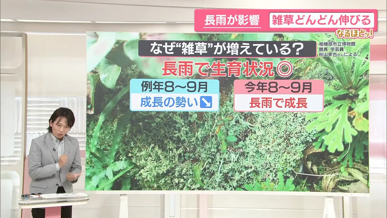 対処法1：根っこから抜く