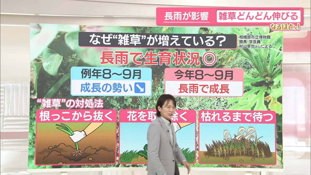対処法3：冬まで待つ