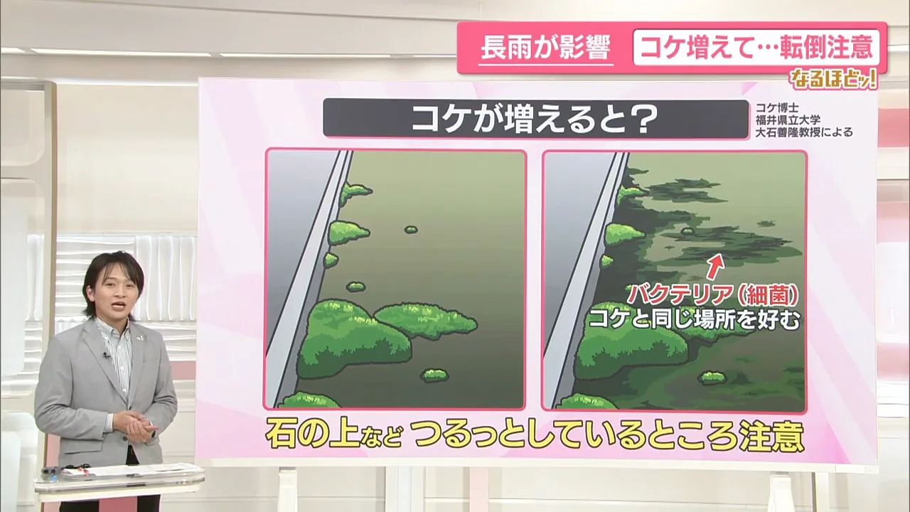 3連休の外出と草刈りに向けて