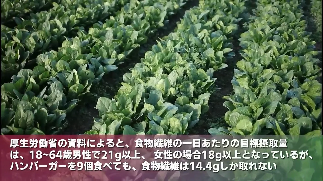 食物繊維の不足と腸内細菌