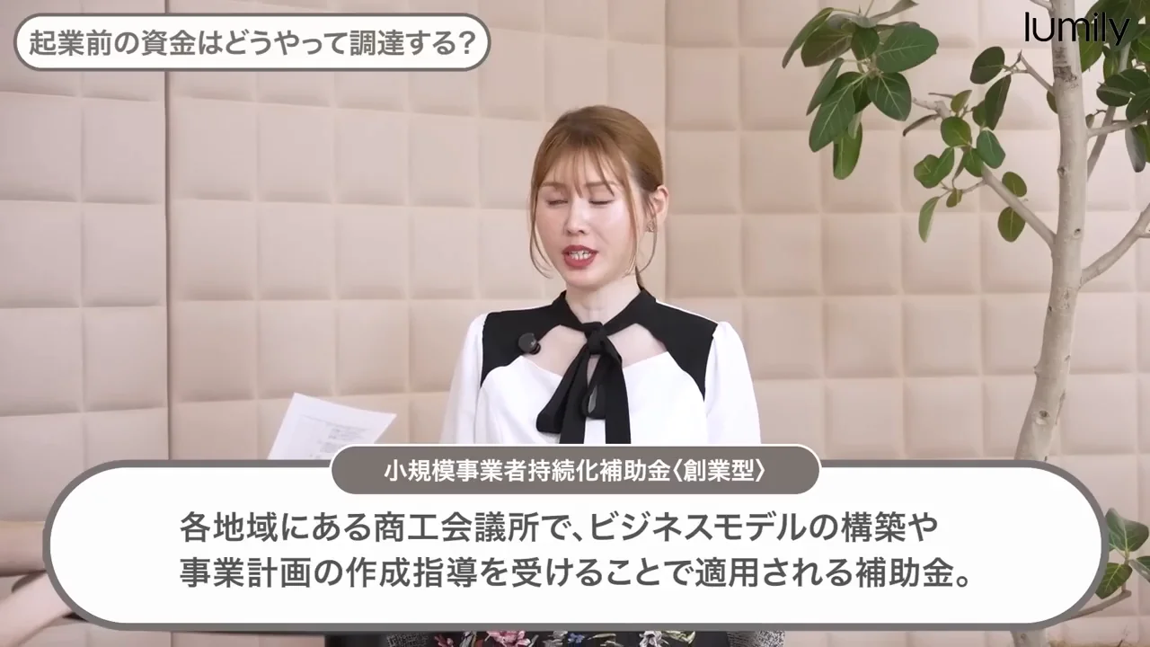 創業期の補助金：小規模事業者持続化補助金