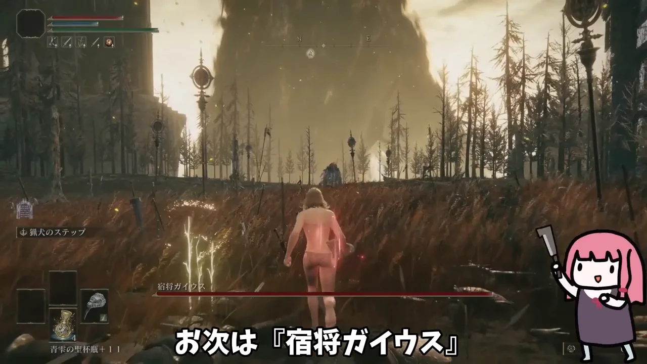 宿将ガイウス:毒と腐敗で時間を稼ぐ
