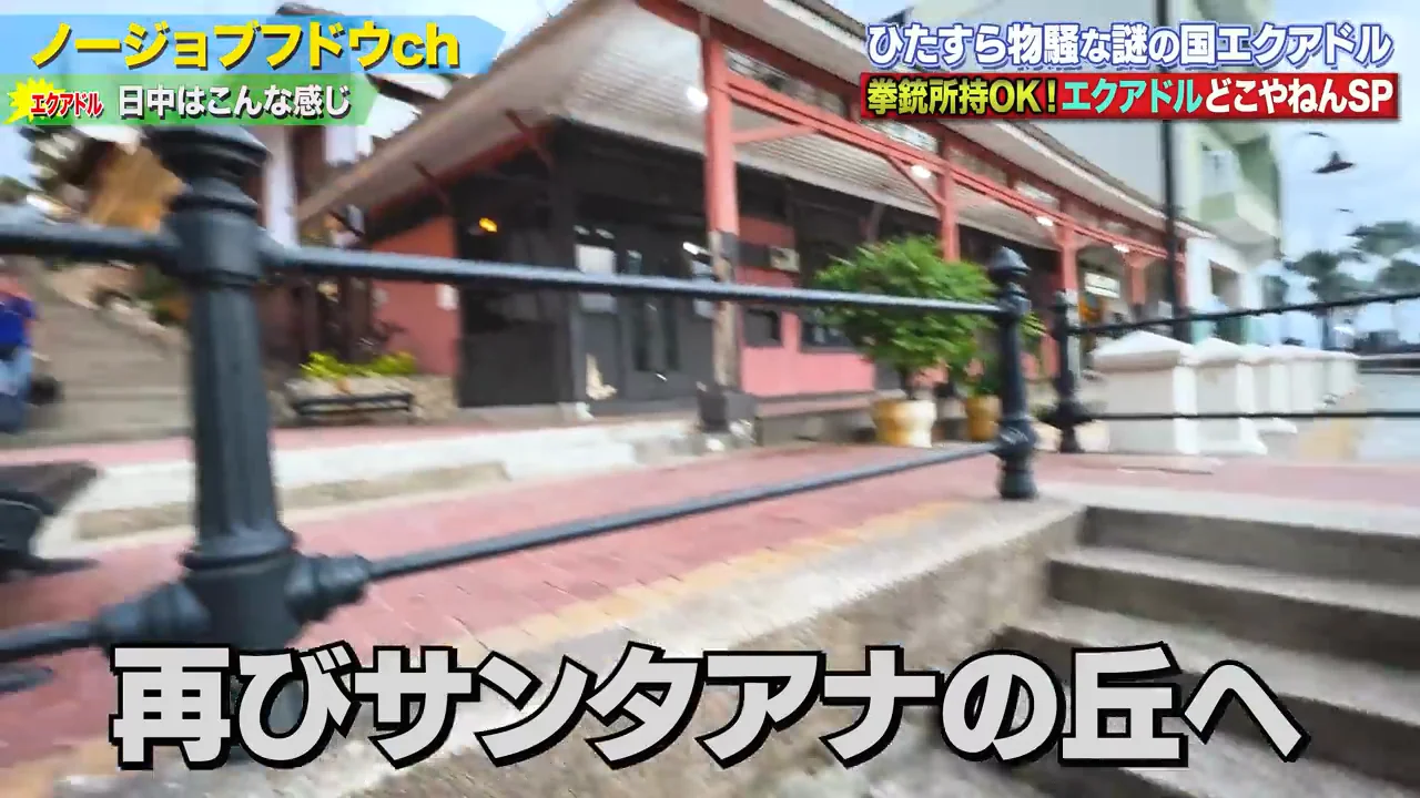 サンタアナの丘、再訪と中華料理