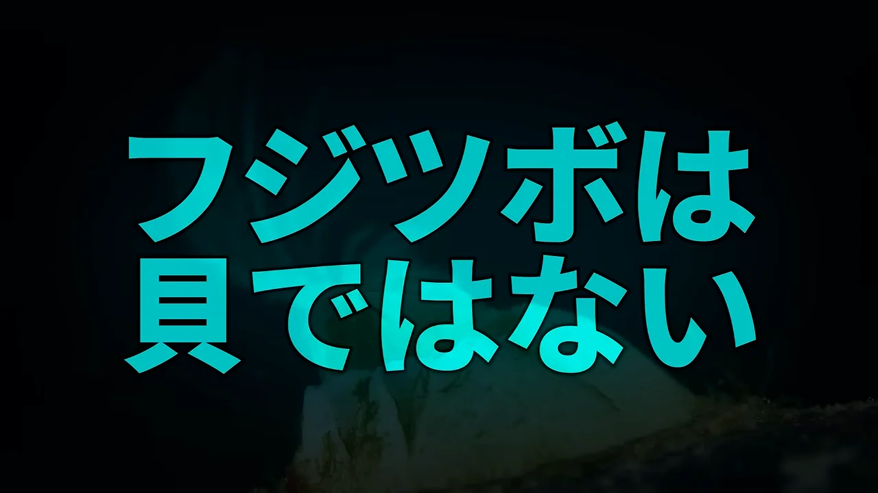 フジツボは貝ではなく甲殻類