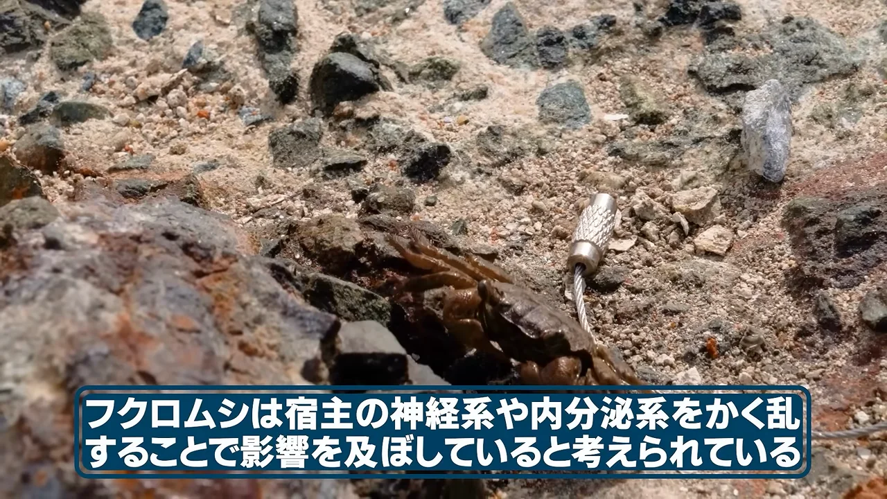 宿主操作の仕組みはまだ解明途中