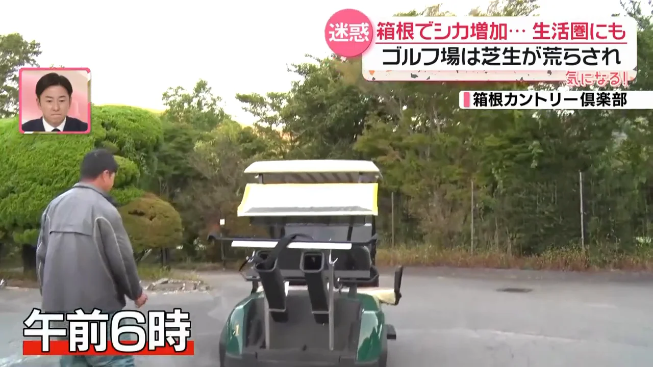 ゴルフ場の芝が荒らされる