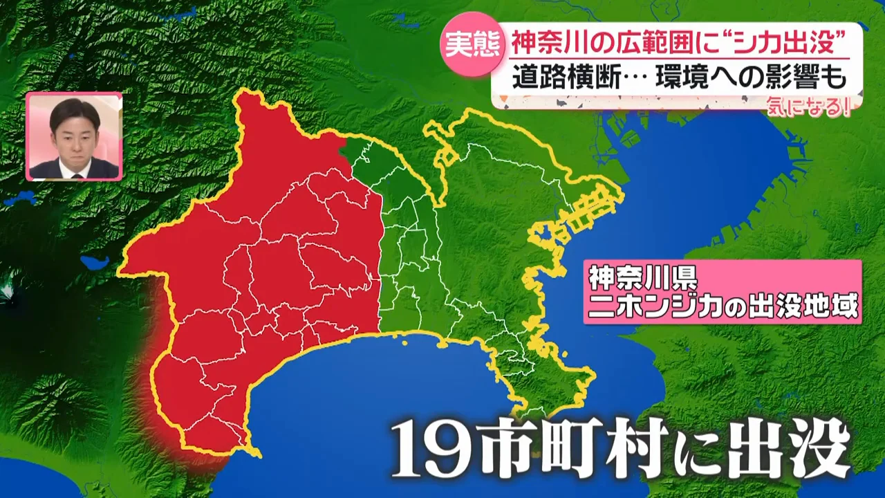 生息域の拡大と捕獲数