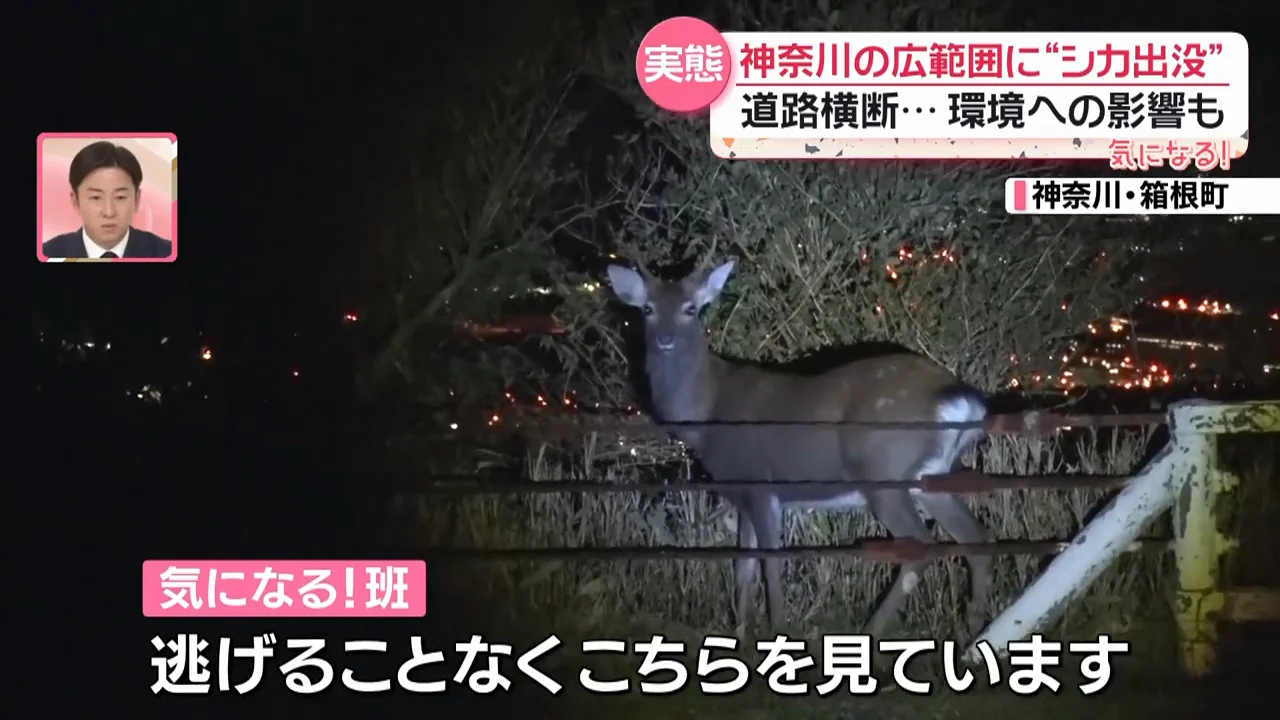 夜の道路での衝突