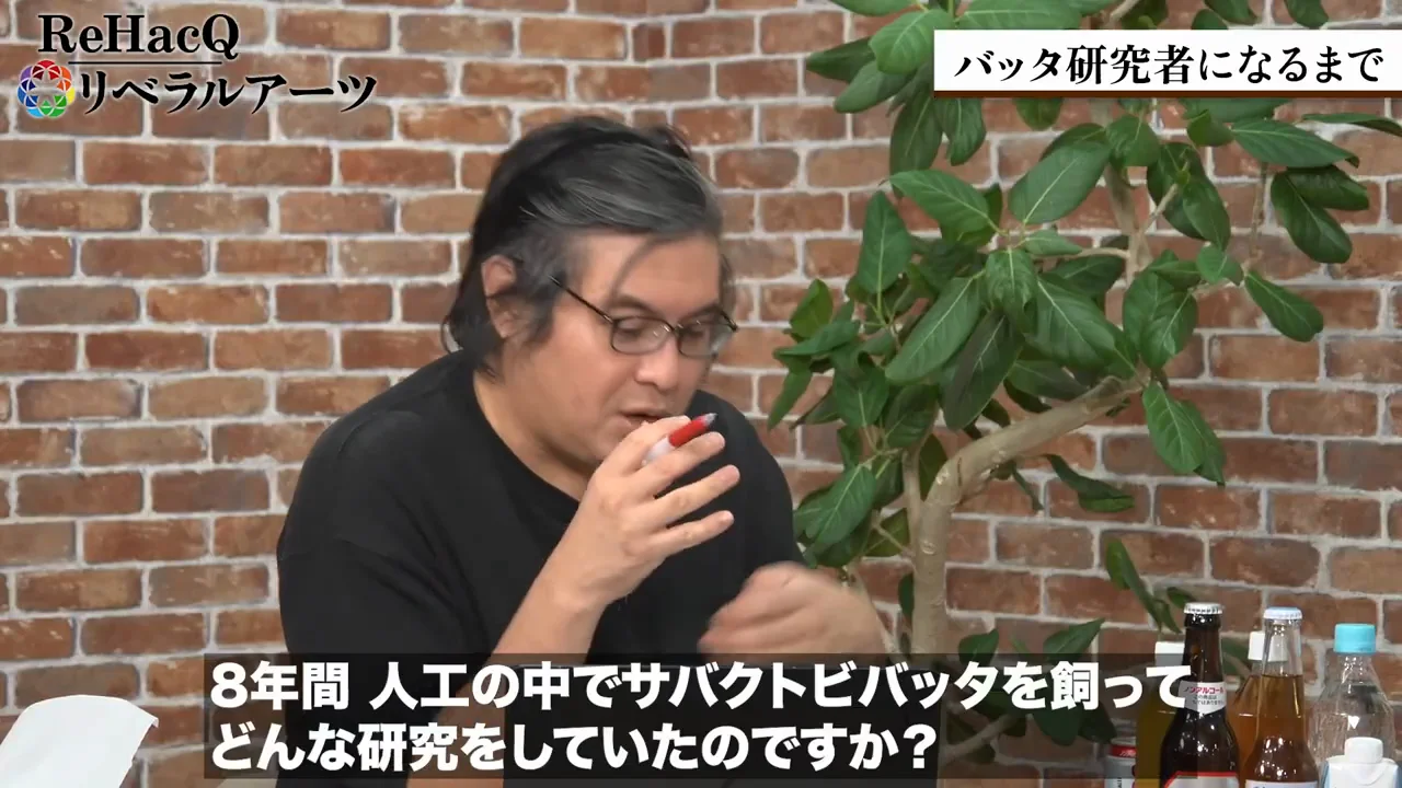 日本の飼育室での8年間:相変異という現象