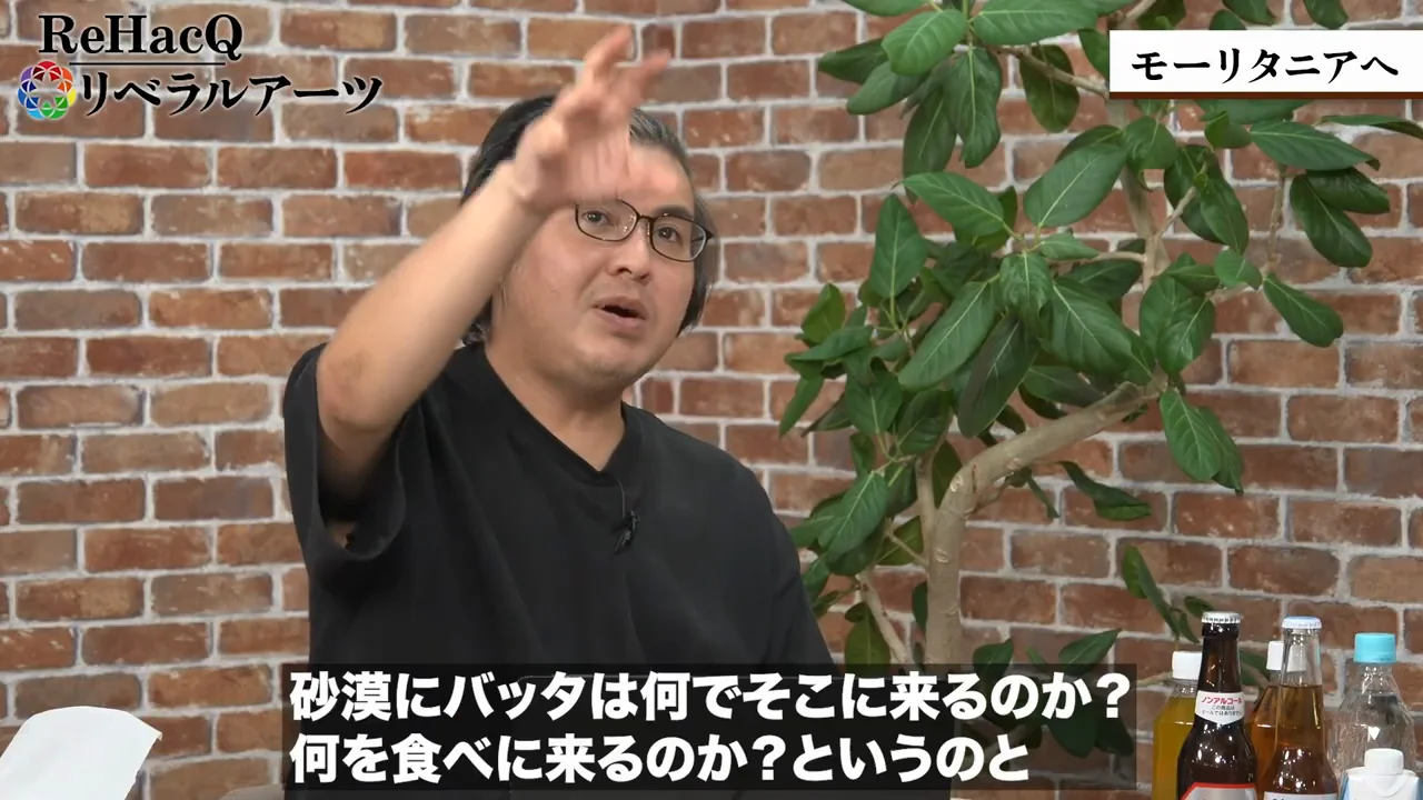 砂漠のどこにバッタが来るのか