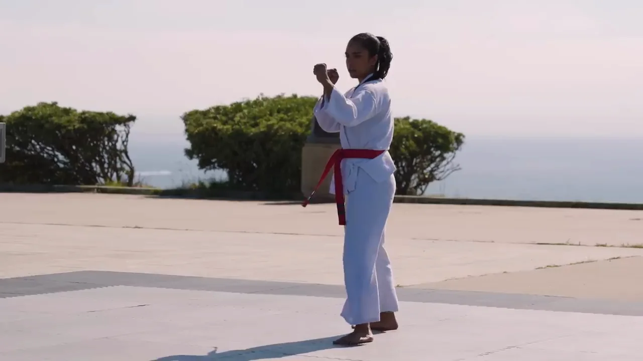 Day 90: The Black Belt Test