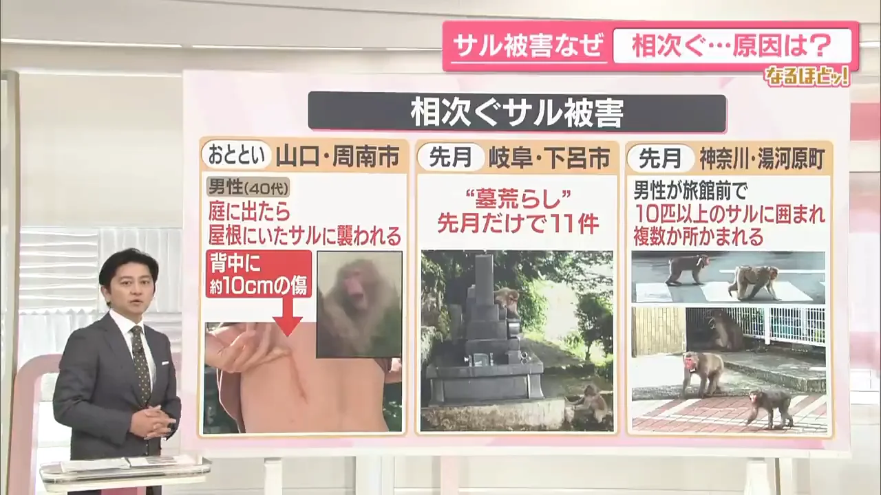山口・岐阜・神奈川で相次ぐ被害
