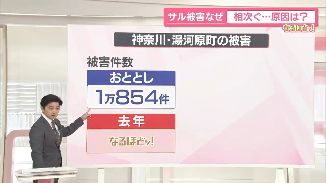 件数は減ったのに増えている被害
