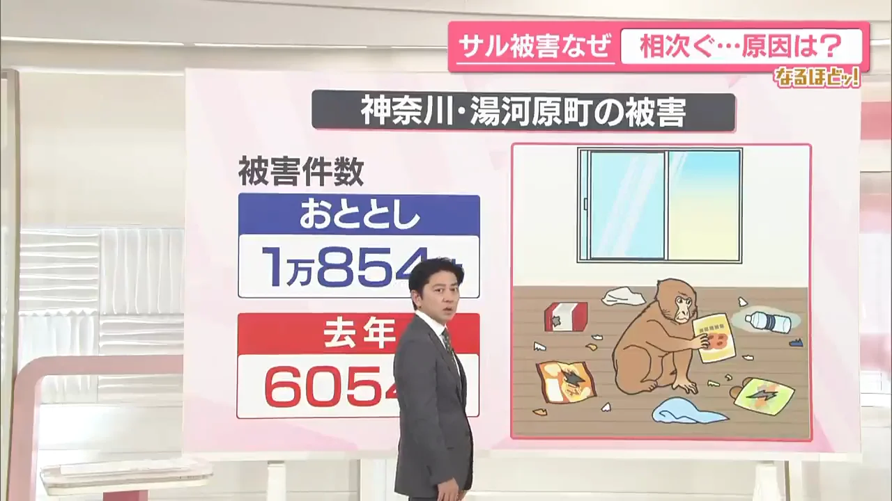 GPS調査で分かった出没先は「空き家」