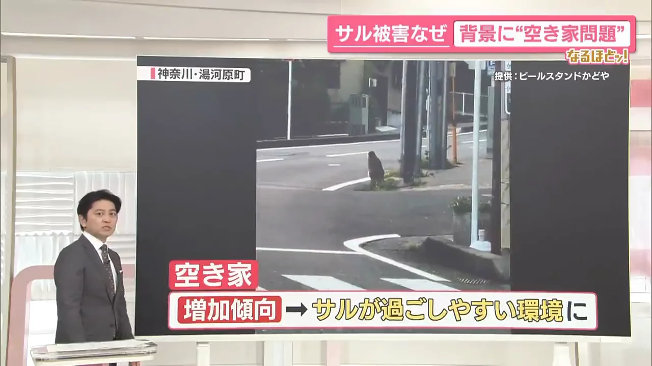 出くわしたら「とにかく離れる」