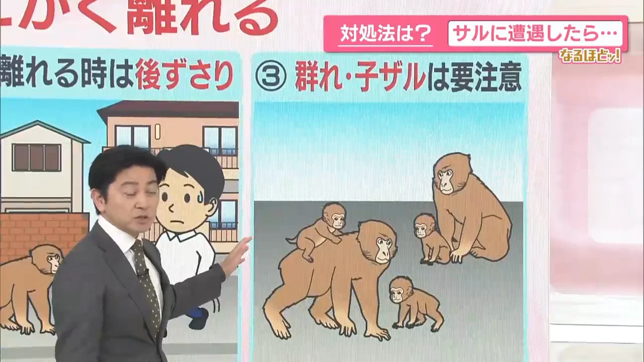 子ザルに近づかない