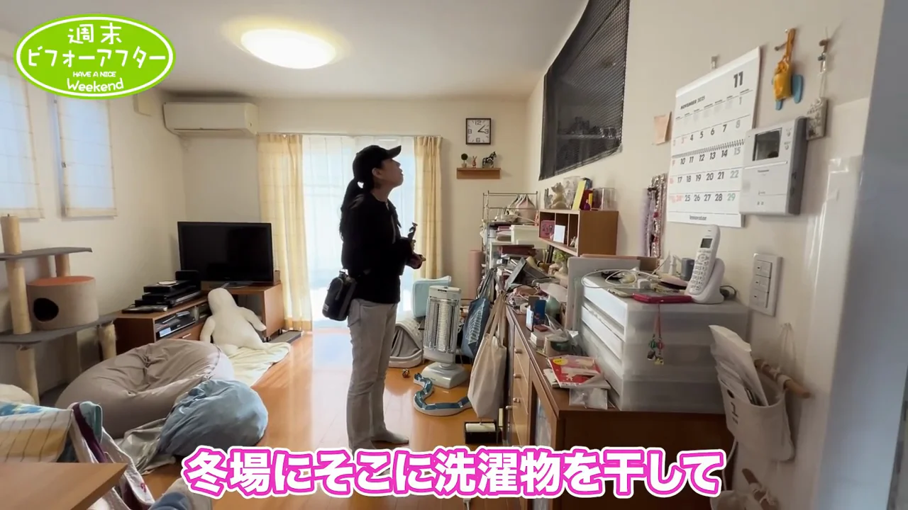 猫アレルギーと、寝室を守る網とカーテン