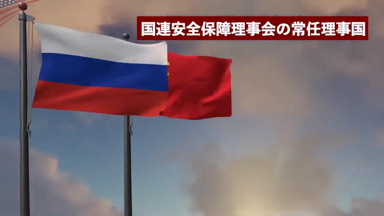 国連の場での「盾」と、その限界