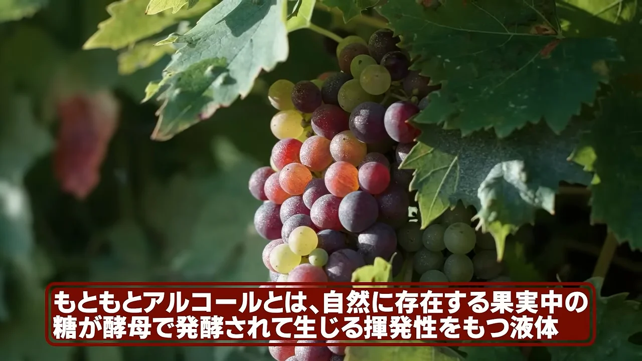 進化のミスマッチという仮説