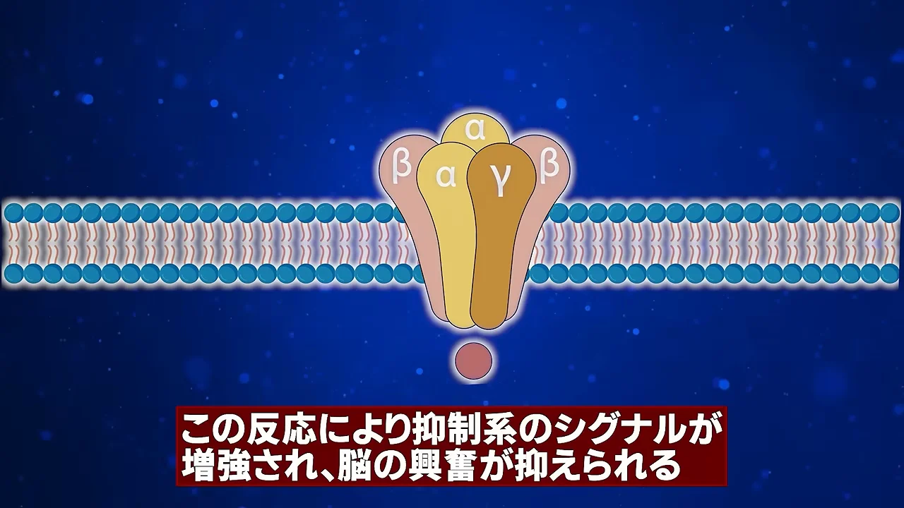 脳内で起きる3つの反応