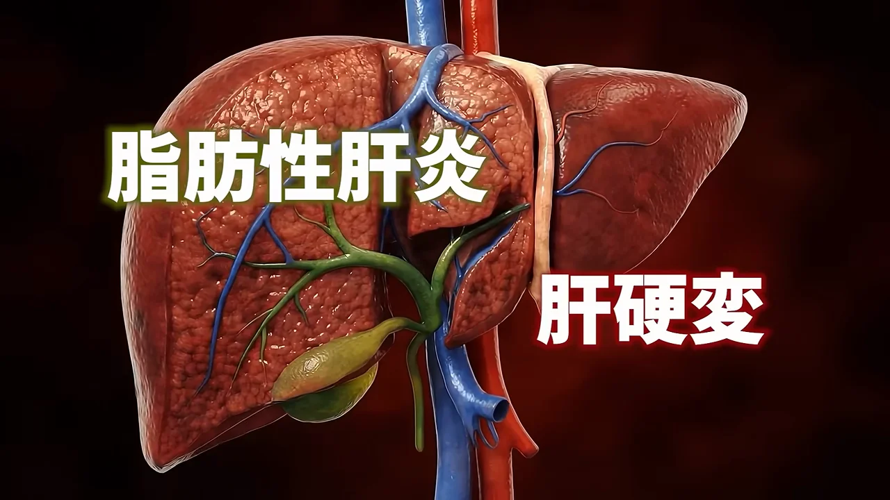 肝臓だけではない身体的ダメージ
